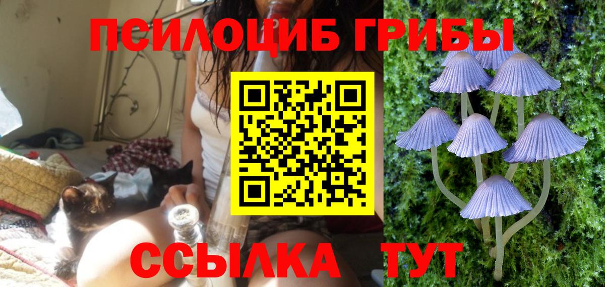 Галлюциногенные грибы мухоморы Волгоград