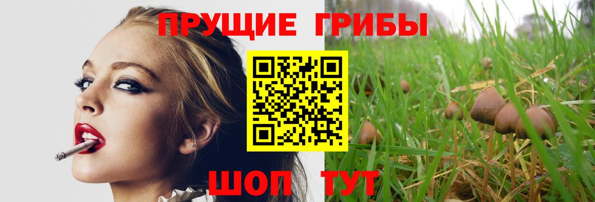 Галлюциногенные грибы GOLDEN TEACHER  Вход с VPN  Волгоград  Галлюциногенные грибы прущие грибы 
